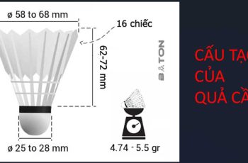 Bạn Có Biết Cấu Tạo Của Quả Cầu Lông Là Gì Không?